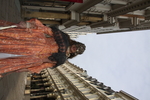 img_2643.jpg
