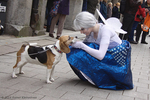 hp_IMG_7052_raw.jpg