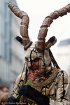 hp_IMG_7290_raw.jpg