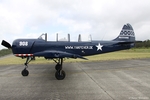 Yakolev Yak-52 RA3339K