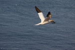 hp_img_4515.jpg
