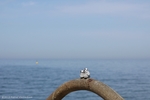 hps_img_4702.jpg