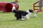 hp__img_8587_900.jpg