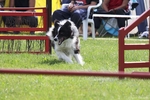 hp__img_8597_900.jpg