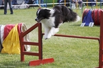 hp__img_8601_900.jpg