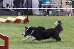 hp__img_8693_900.jpg