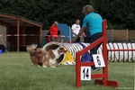 hp__img_8763_900.jpg