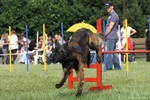 hp__img_8906_900.jpg