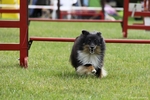 hp__img_9167_900.jpg
