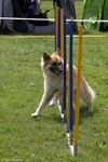 hp__img_9958_900.jpg