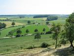 Aussicht vom Burgberg auf die Münsterländer Parklandschaft